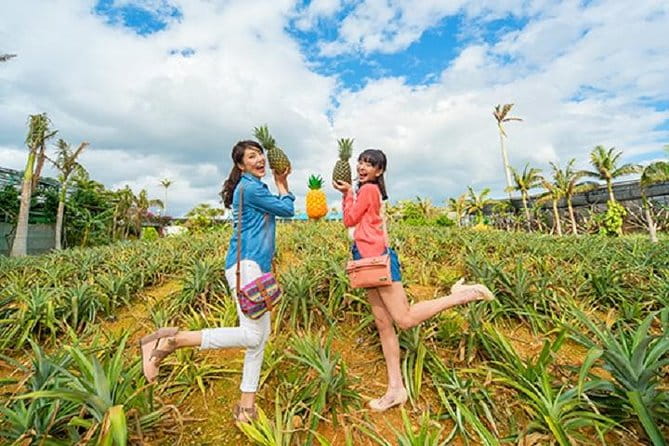 Okinawa Hip-hop Bus A Course Tour｜Churaumi Aqualium,Kori Island - Customer Reviews and Feedback