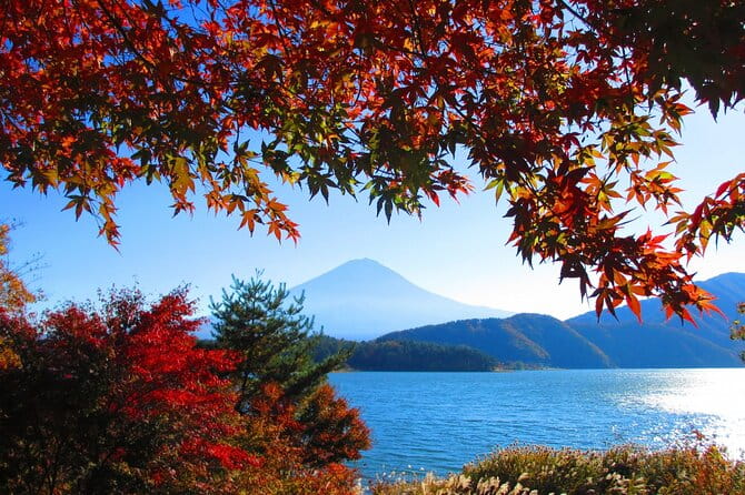 Tokyo ⇔ Lake Kawaguchi Bus Tickets (One-way/Round-trip) - Included Amenities and Services