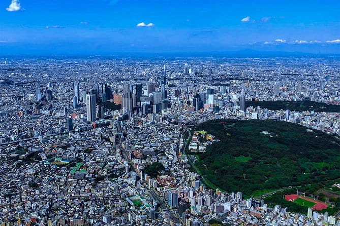 【75 Mins】 Tokyo-Mt.Fuji Tour: Mt. Fuji Helicopter Tour - Accessibility and Health Restrictions