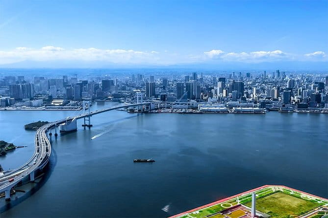 【75 Mins】 Tokyo-Mt.Fuji Tour: Mt. Fuji Helicopter Tour - Booking and Reservation Process