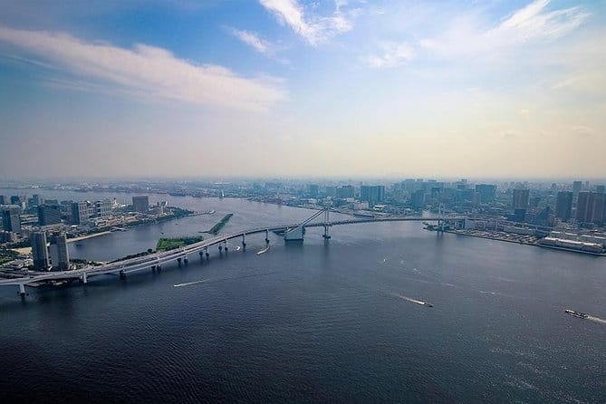 【10 Mins】Tokyo Helicopter Tour + Private Car Pickup & Drop off - Memorable Experience