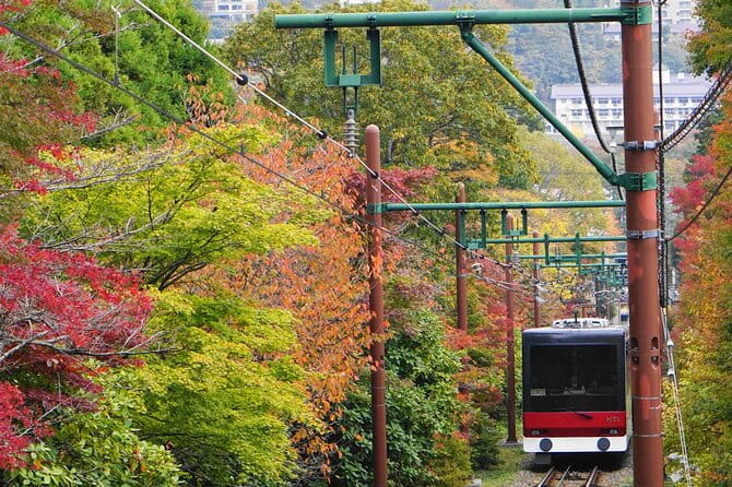 All Inclusive・Private Tour Make Your Own Adventure in Hakone - Frequently Asked Questions