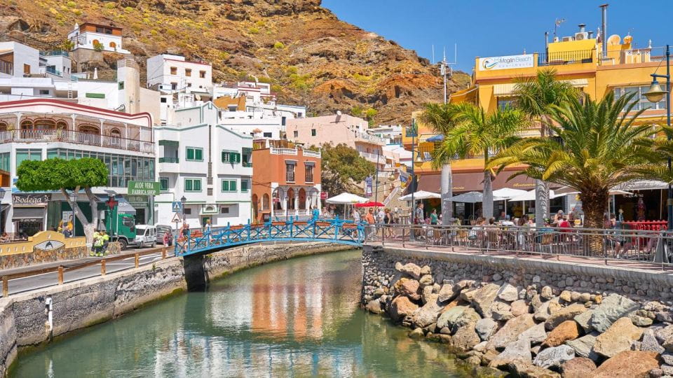 Gran Canaria : Dolphin Boat Excursion and Market on Fridays - Exploring Puerto De Mogán
