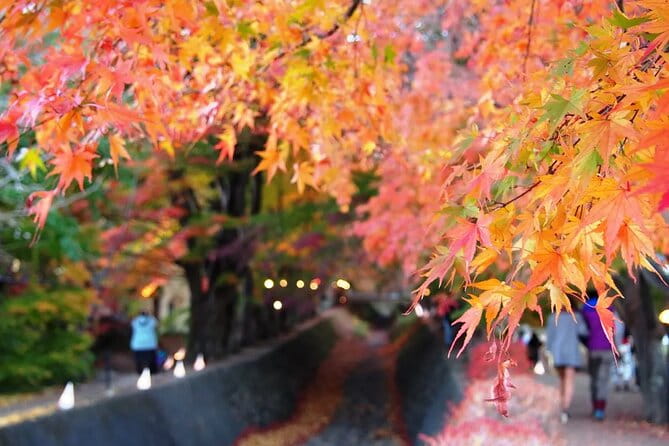Mt Fuji Kawaguchiko Oishi Park Oshino Hakkai & Gotemba Tour|Tokyo - Key Points