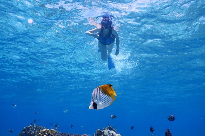 1day Kayak Tour in Kerama Islands and Zamami Island