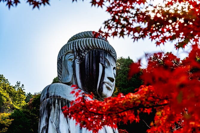 Autumn Leaves Buddha and Mt.Yoshino With Orange Picking Tour