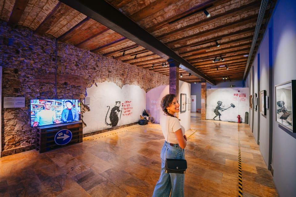 Barcelona: Banksy Museum, Permanent Exhibition Ticket - Ticket Pricing and Options