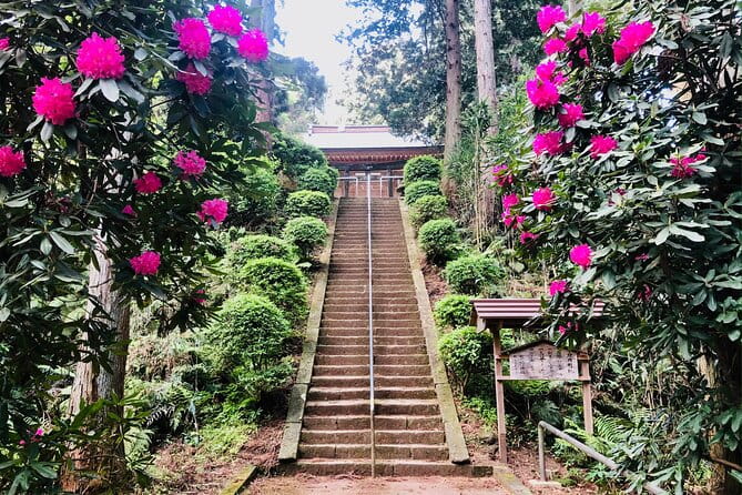 Buddha, Bamboo & Zen - Bespoke Kamakura Private Walking Tours - Inclusions and Exclusions