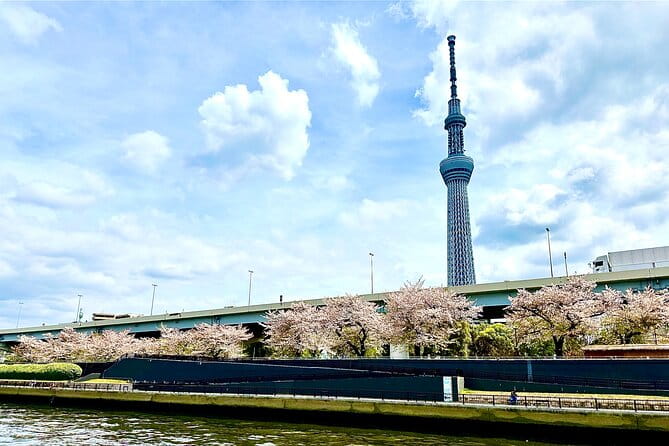 Cherry Blossom Cruise on Tokyo Bay Lunch/Dinner/ Tea/Japan Show - Experience the Beauty of Cherry Blossoms