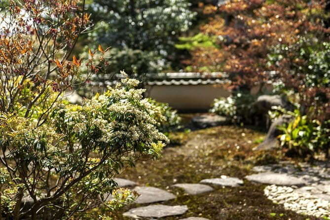 Discover the Charms of Fukuoka