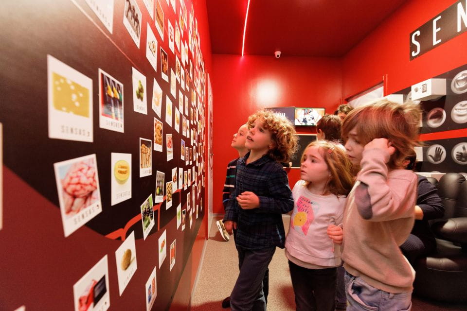 Set out on a Multi-Sensory Journey With SENSAS at Barcelona - Overview of SENSAS Experience