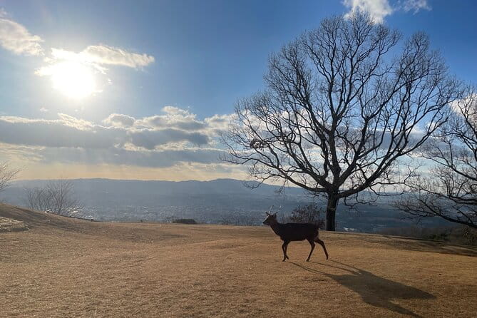 Experience Kyoto: A Full-Day Private Tour Adventure