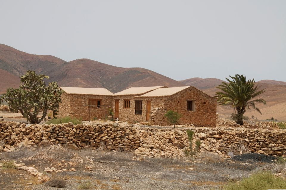 From Lanzarote: Fuerteventura Day Trip - Overview and Pricing