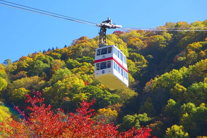 From Takayama: Alpine Splendor - Shinhotaka Ropeway and Kamikochi - Tour Overview