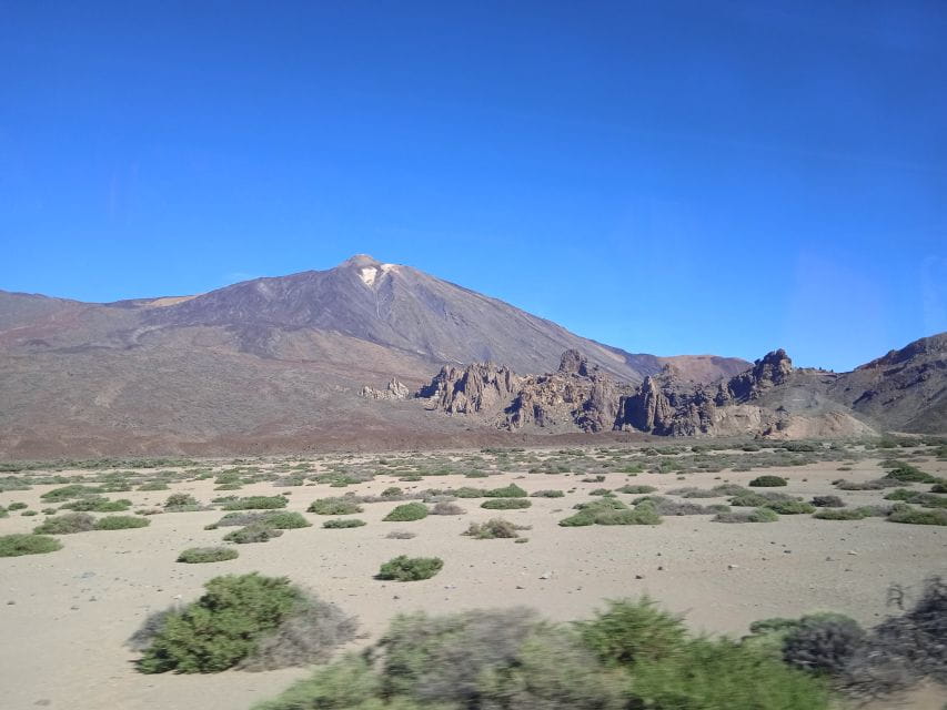 From Tenerife: Teide National Park Guided Day Trip by Bus - Experience Highlights