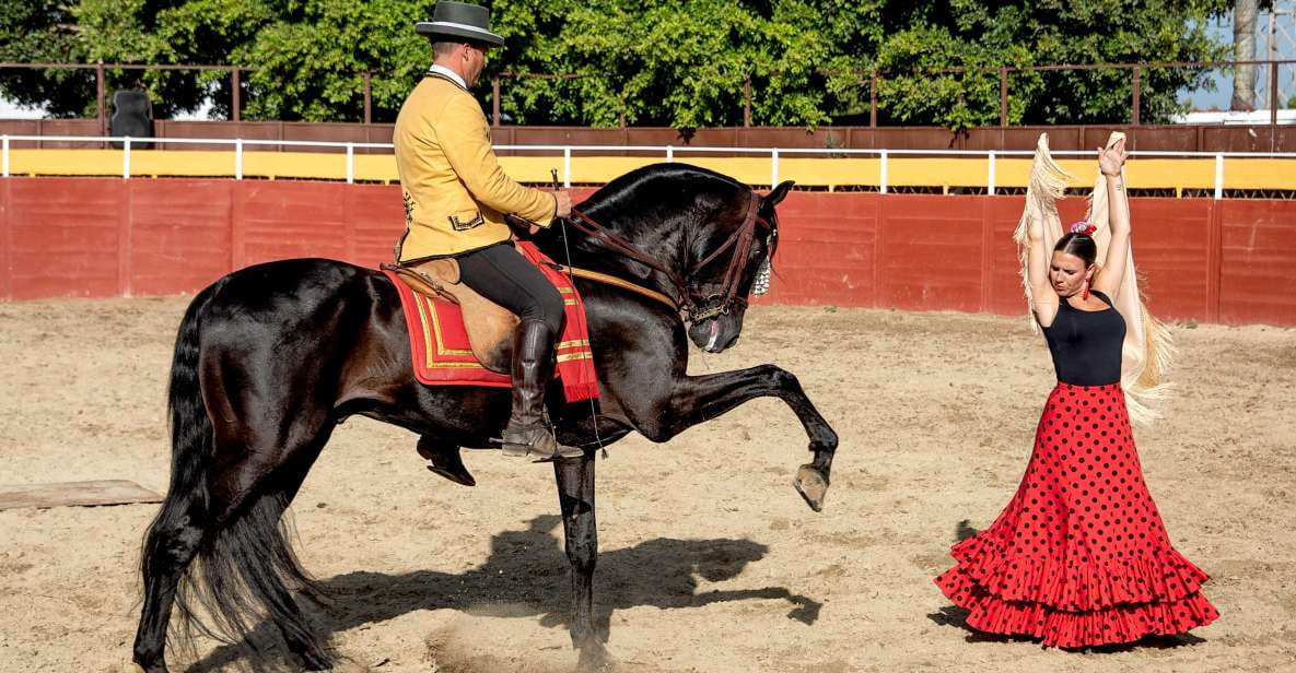 Fuengirola: Spanish Horse Show With Optional Dinner/Flamenco