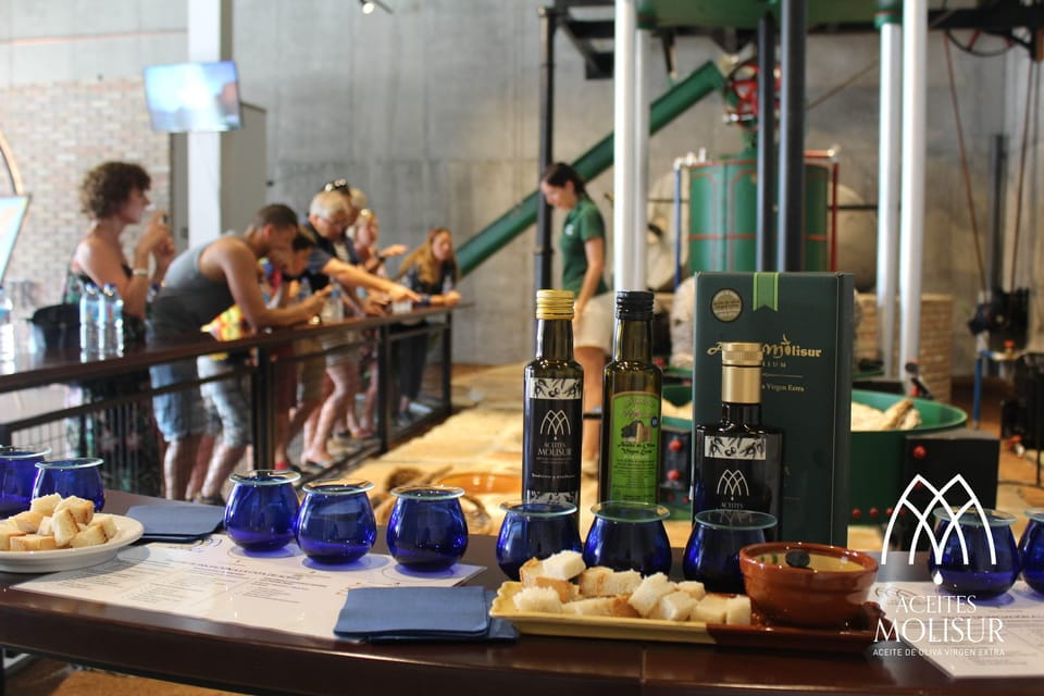 Guided Tour and Oil Tasting at the Aceites Molisur Factory - Activity Overview