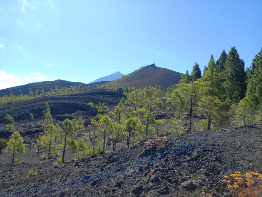 Hike Classic Tenerife