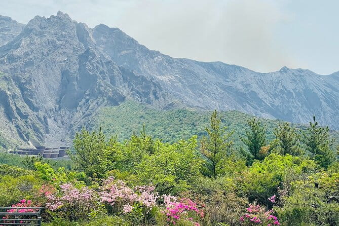 Historical Hill Climb E-bike Tour to Sakurajimas Peak