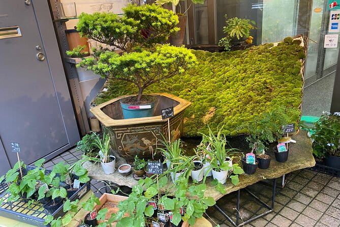 Ikebana Experience Tour in Kyoto - Overview of the Ikebana Experience Tour