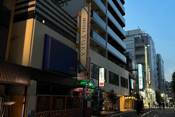 Kabukicho Macabre Tour The Real Tokyo Vice