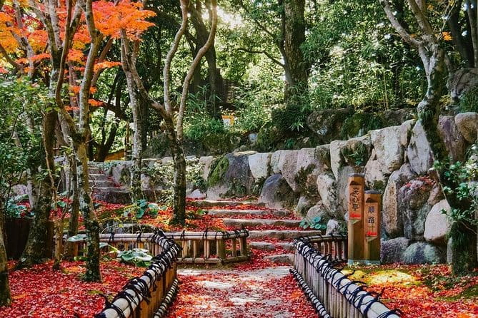 Kobe Private Customizable Day Half Tour