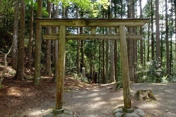 Kumanokodo 2 Day Walking Tour From Osaka - Overview of the Kumanokodo Walking Tour