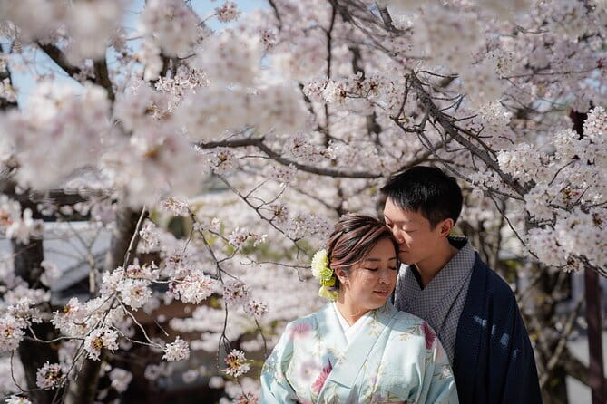 Kyoto Portrait Tour With Kimono