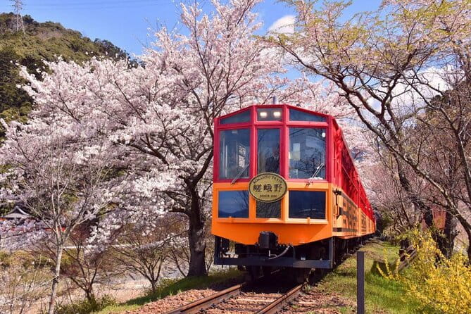 Kyoto Sansen-In Arashiyama Train 1 Day Tour From Osaka or Kyoto