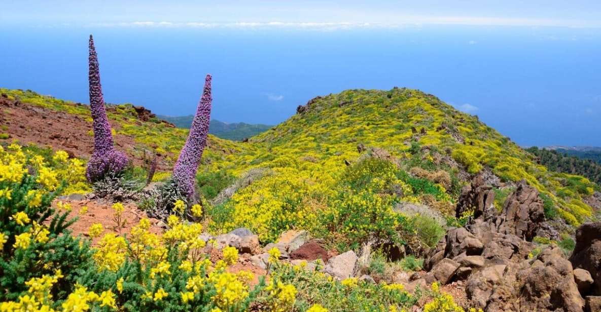 La Palma: Guided Trekking Tour to El Roque De Los Muchachos