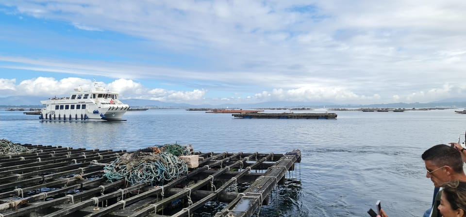 La Toja: Boat Tour at the Arousa Estuary With Mussel Tasting