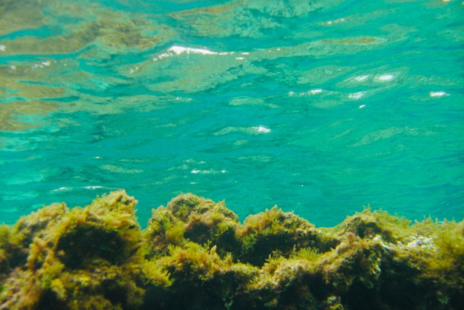 Las Canteras Scuba Diving