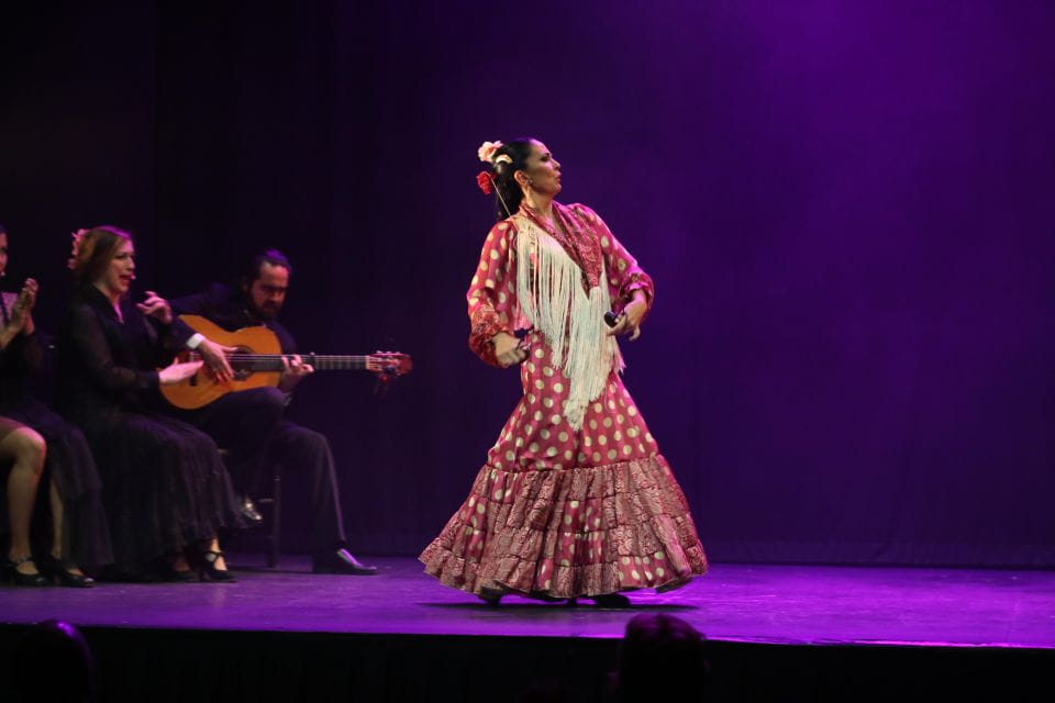 Malaga: Teatro Flamenco Malaga Live Flamenco Show - Event Overview