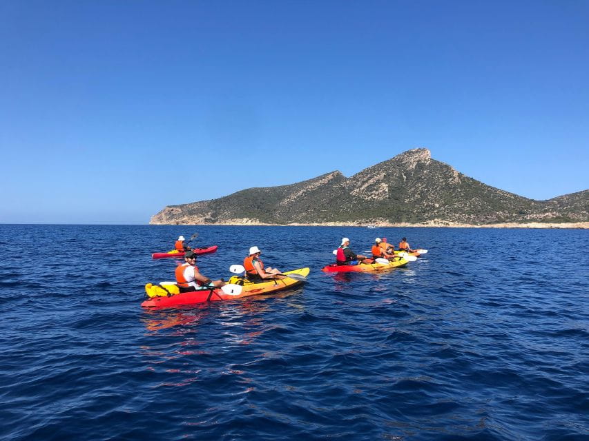 Mallorca: Explore the Island Dragonera With the Kayak - Activity Overview