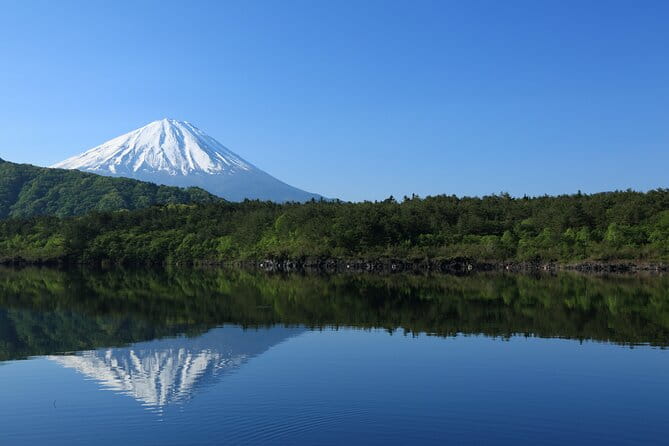 Mount Fuji Customizable Private Tour From Tokyo