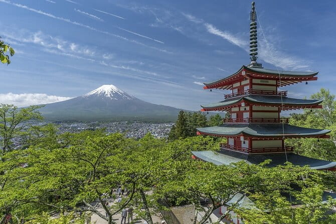 Mount Fuji & Hakone Private Guided Tour