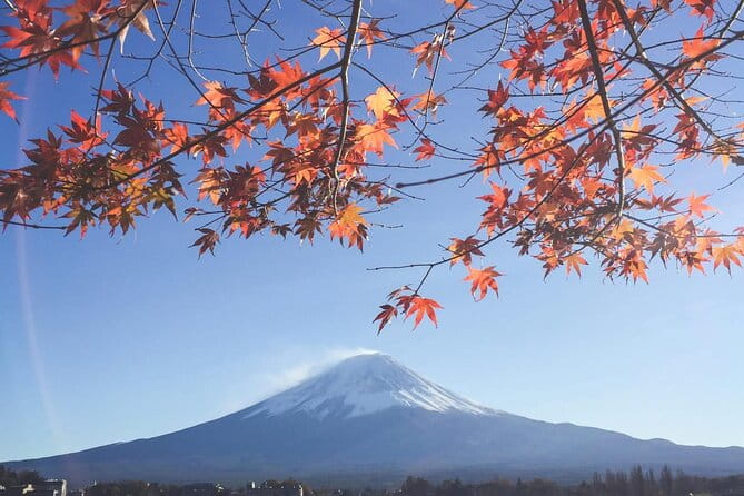 Mount Fuji Private Tour With English Speaking Driver