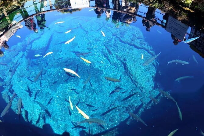 Mt Fuji Exploration Tour With Free Japanese Kusa Mochi From Tokyo