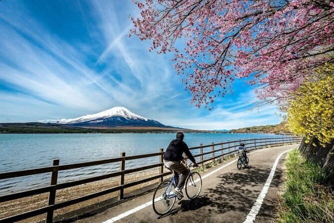 Mt Fuji & Hakone Private Day Tour W/ English Speaking Guide