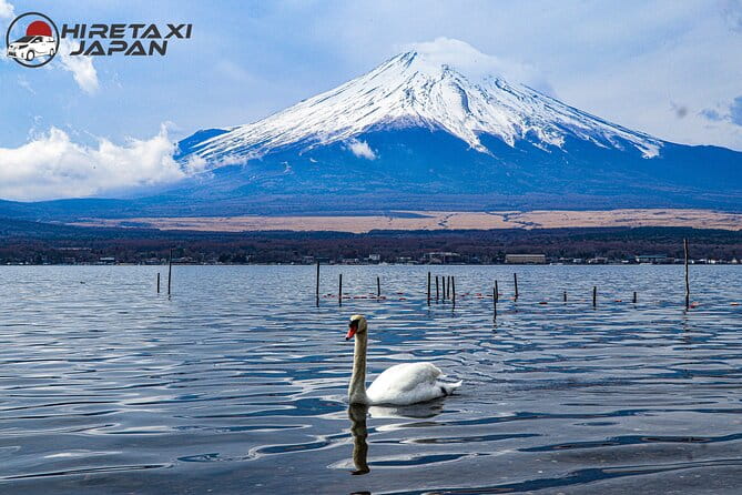 MT. Fuji/ Private Tour Delivered and Guided by a Top-Tier Driver