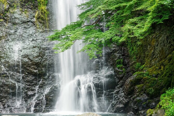 Osaka 8 Hours Tour Explore City and Minoh Falls