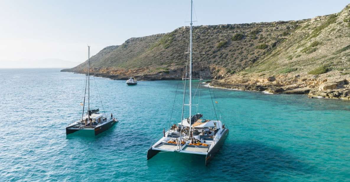 Palma De Mallorca: Half-Day Catamaran Tour With Buffet Meal
