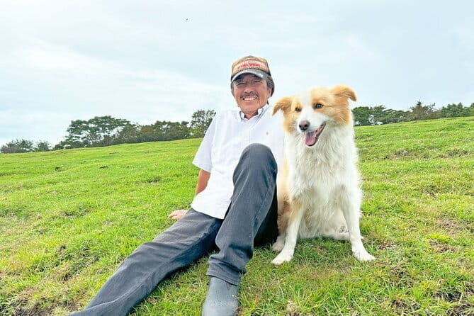 Pasture Hike With Horse Whisperer at Horse Trust in Kagoshima