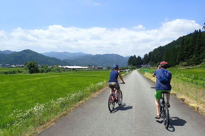 Private 2.5h Bike Tour in Hida