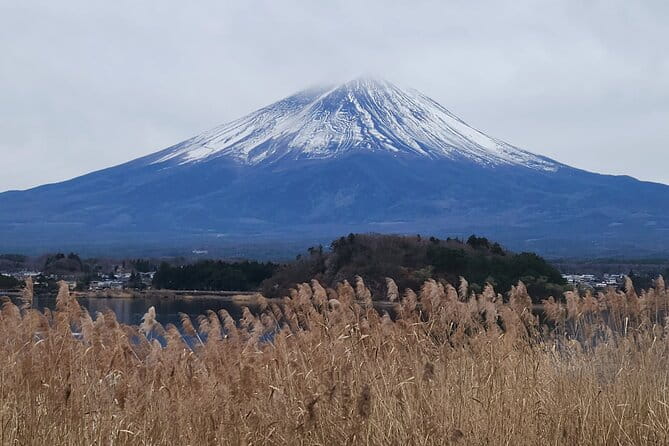 Private Hakone Mt Fuji Tour With English Speaking Driver
