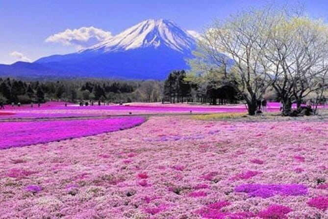 Private Mount Fuji and Hakone One Day Tour