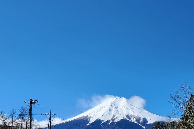 Private Tokyo City Tour With English Speaking Guide - Tour Overview