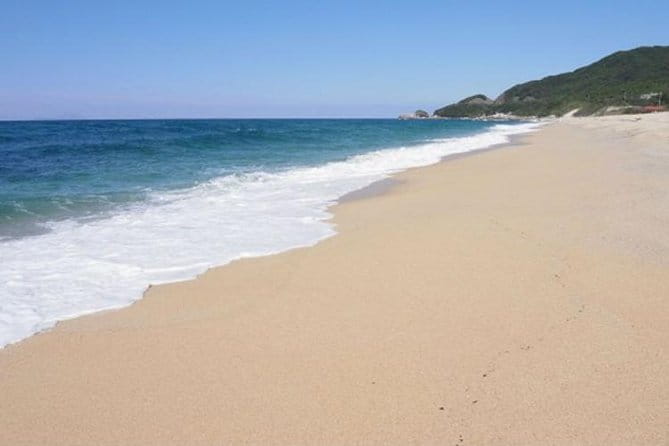 Private Tour: Full-Day Walking Tour With Professional Local Guide in Yakushima Island