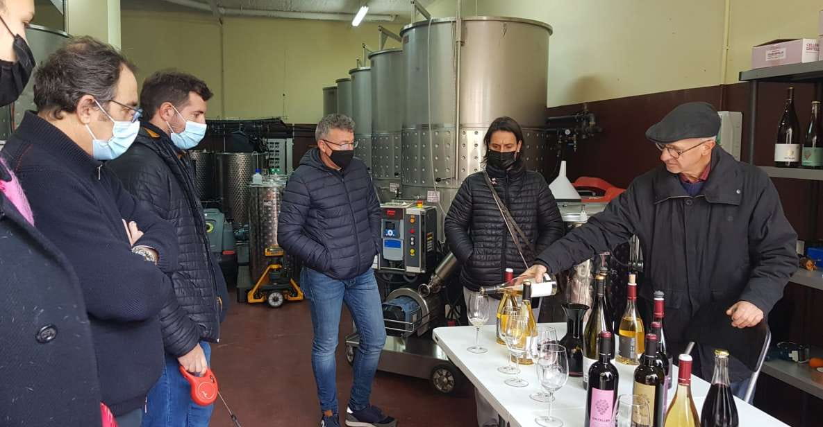 Salou: Priorat Tasting Wine-Cellar Tour With Hotel Pickup - Overview of the Tour