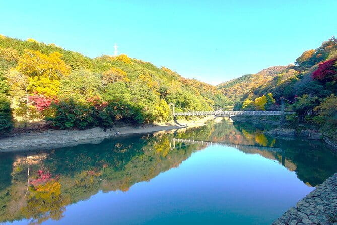 Slow Cycling Tour at Ujis Matcha Green Tea Fields and Heritage